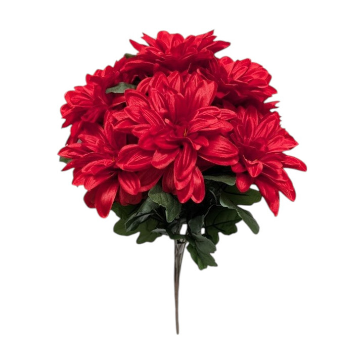 Red Dahlia Bush