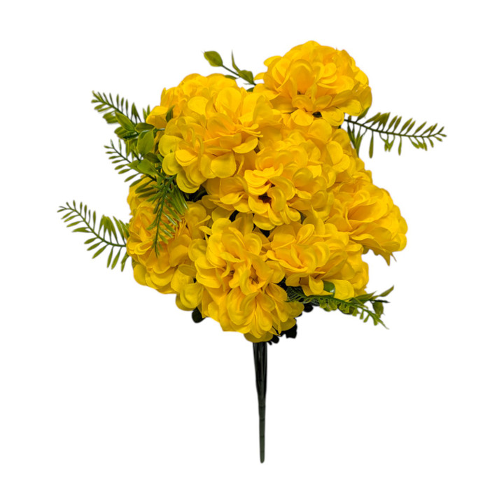 Yellow Snowball Bush