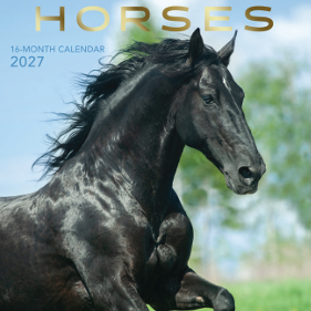 16-Month 2027 Wall Calendar - Horses