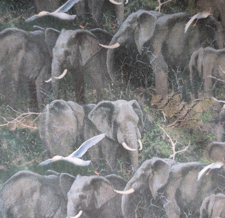 Packed African Elephants Wildlife Cotton Fabric