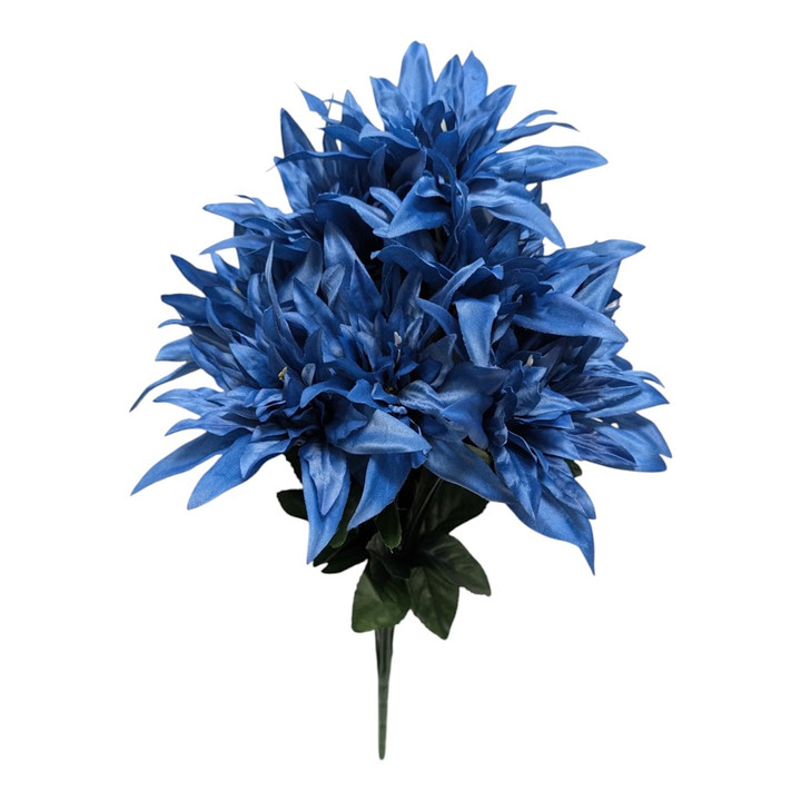 Blue Wild Dahlia Bush