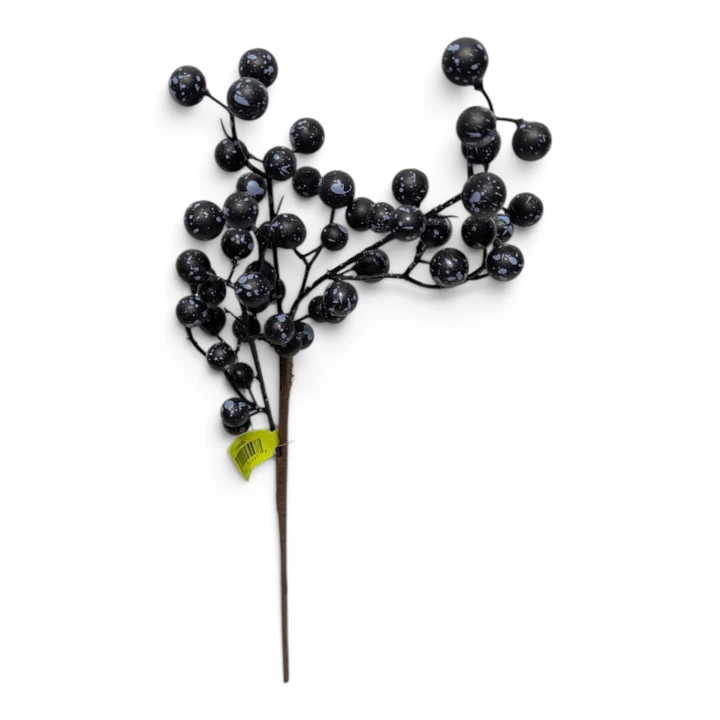 Blueberry Pick