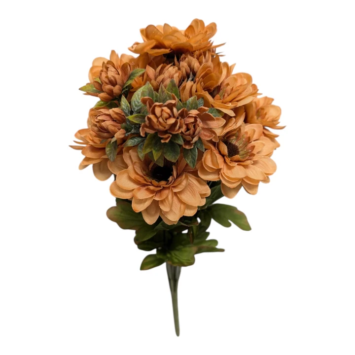 Dusty Peach Brown Zinnia Bush