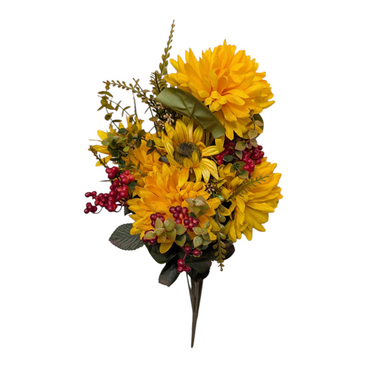 Golden Yellow Ball Mum Sunflower Berry Bush