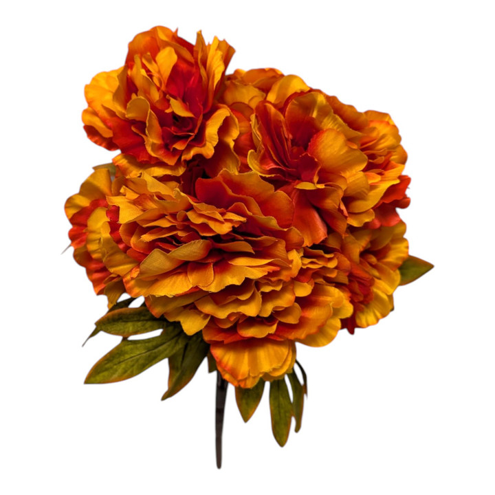 Autumn Orange Peonies
