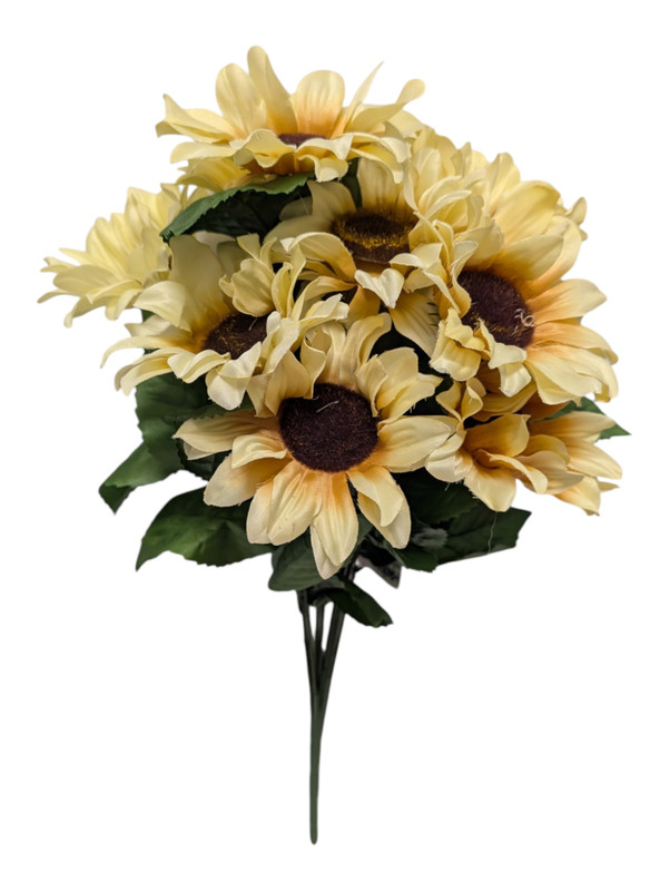 Beige Sunflower Bush