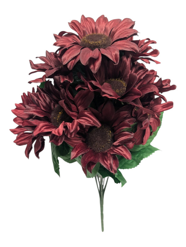 Burgundy Sunflower Bush