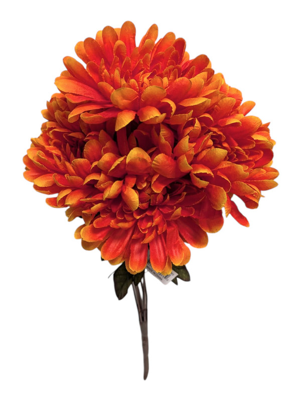 Firey Orange Mums 