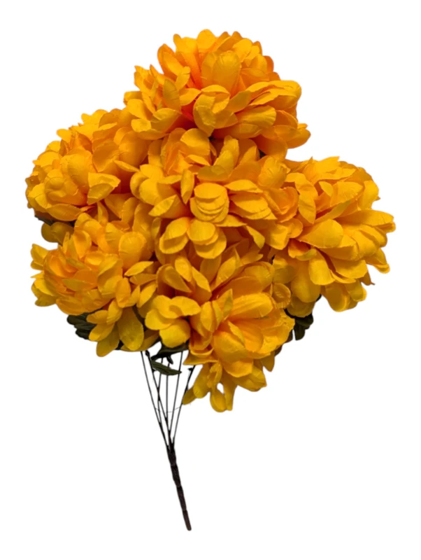 Golden Yellow Ball Mums 