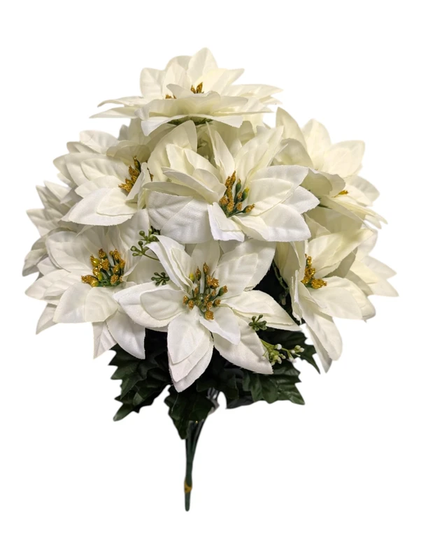 Cream Poinsettias