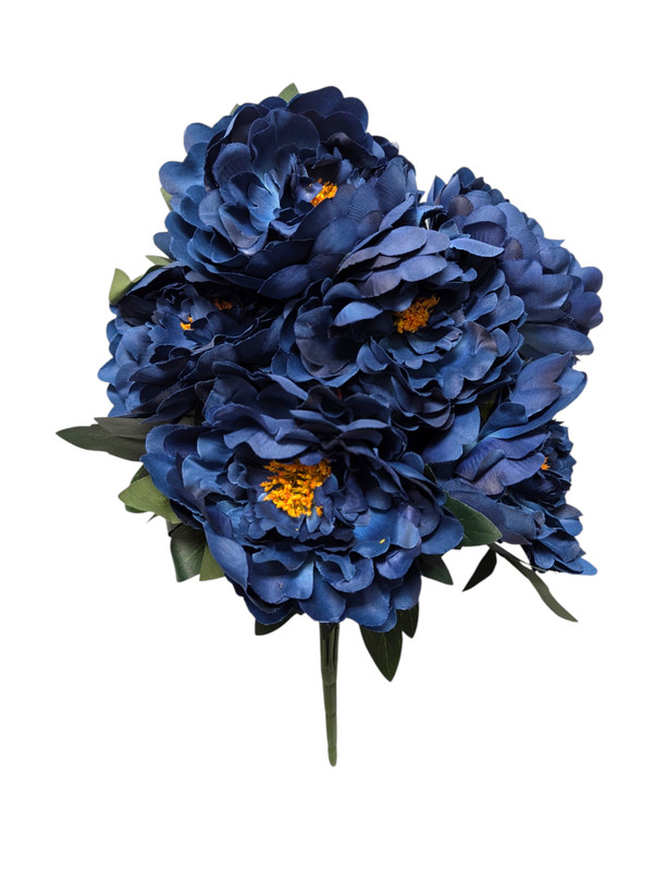 Dark Blue Bartzilla Peony Bush