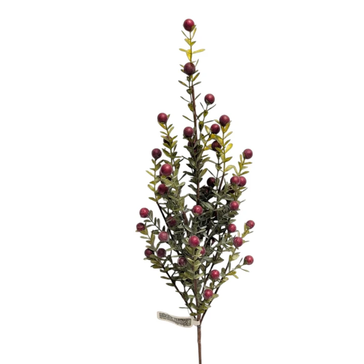 21" Berry Spray