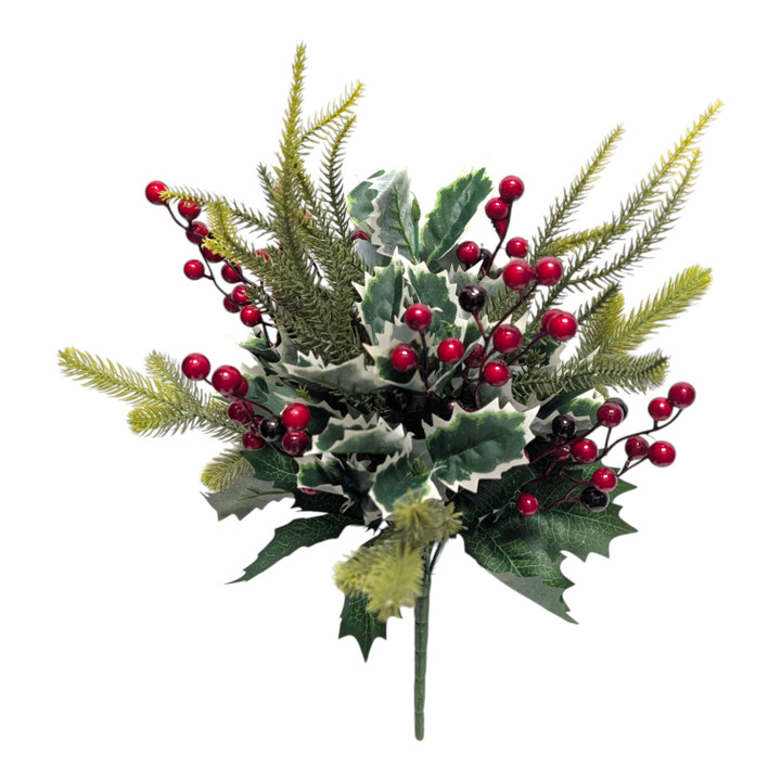 Mixed Evergreen & Variegated Holly Bush with Red Berries