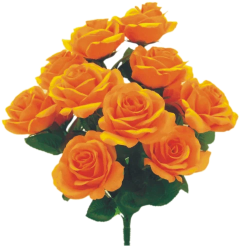 Colorfast Open Lillian Rose Bush - Neon Orange