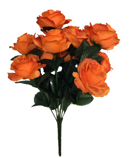Colorfast Open Lillian Rose Bush - Orange