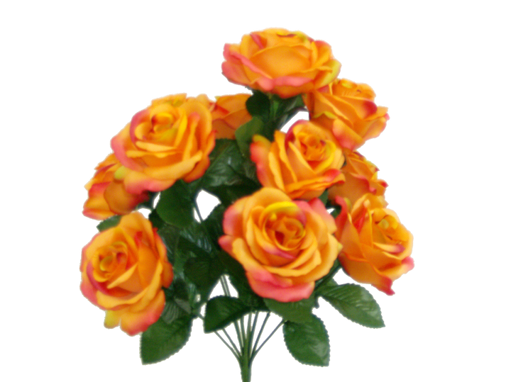 Colorfast Open Lillian Rose Bush - Shades of Orange