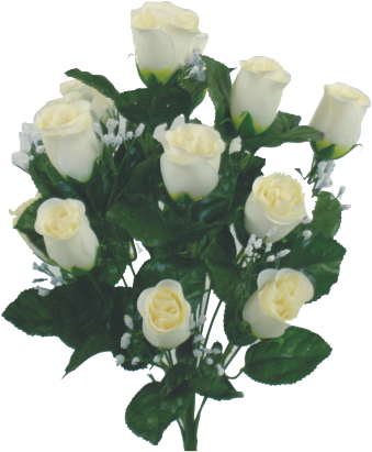 Colorfast Lillian Rose Bud Bush - Beige
