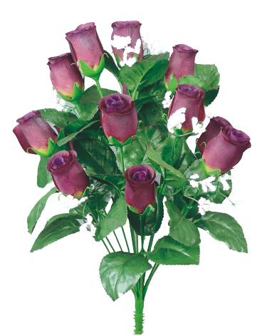 Colorfast Lillian Rose Bud Bush - Eggplant