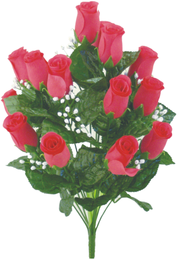 Colorfast Lillian Rose Bud Bush - Bright Pink