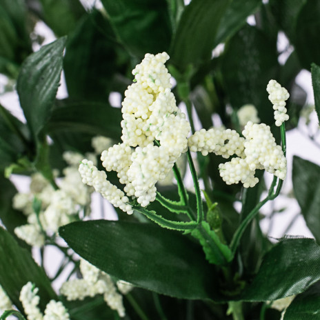 Cream Baby's Breath