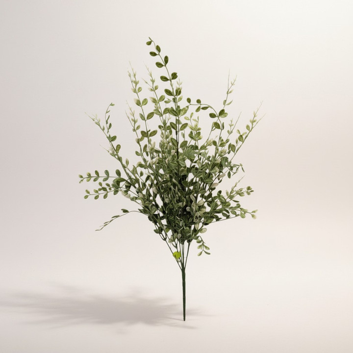 Boxwood Bush - Variegated Green / Cream