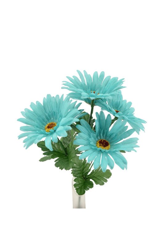 Teal Daisy Bush