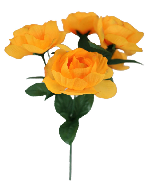 Gold Yellow Peony Bush