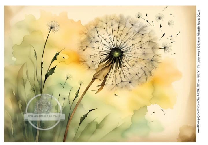 Rice Paper - Dandelions Decoupage A4