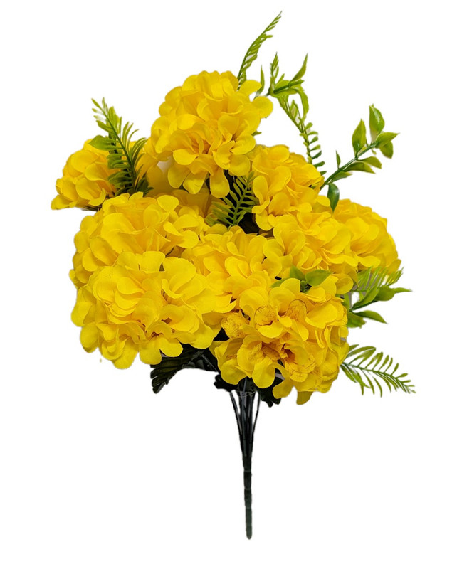 Yellow Snowball Bush