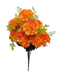 Orange Snowball Bush