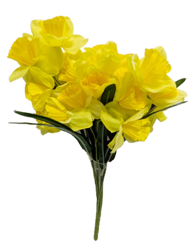 Yellow Narcissus Flower Bush