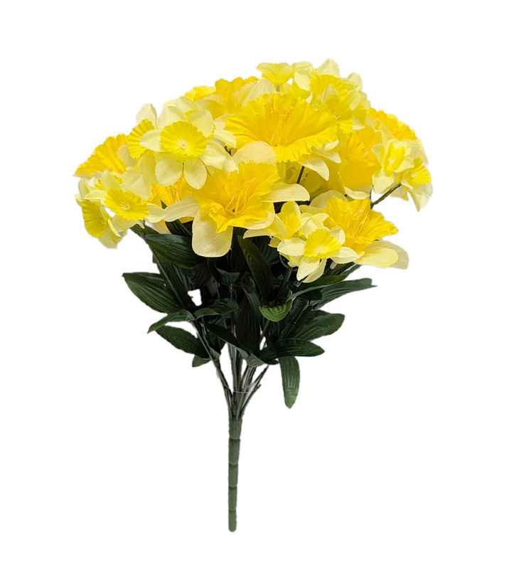 Yellow Daffodil Bush