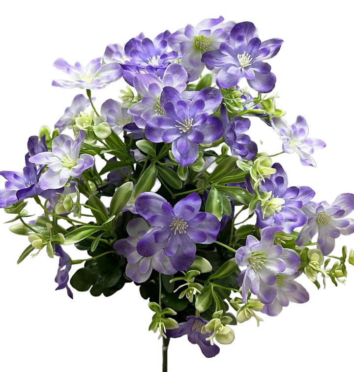 Shades of Purple Mixed Daisy Bush