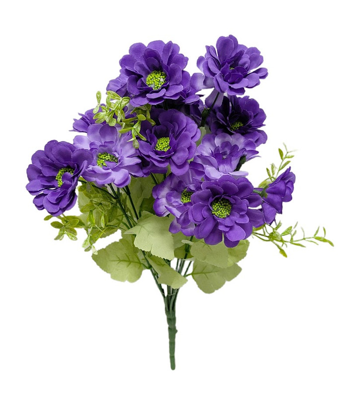 Purple Zinnia Bush
