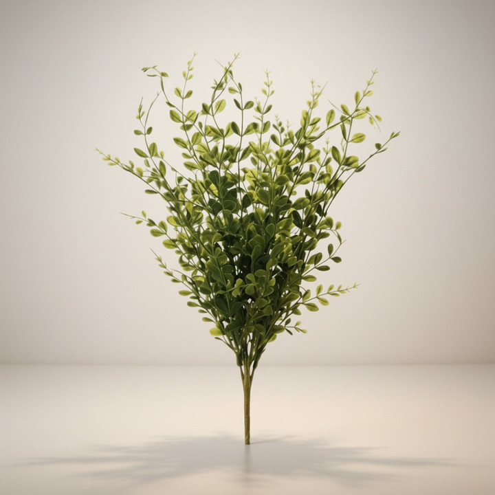 22" Boxwood Bush - Green