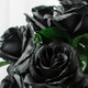 Colorfast Open Lillian Rose Bush - Black With A Shimmer of Green