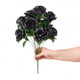 Colorfast Open Lillian Rose Bush - Black With A Shimmer of Green