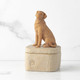 Willow Tree Love My Dog Golden Keepsake Box