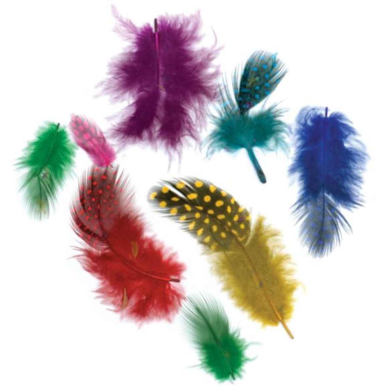 Feathers