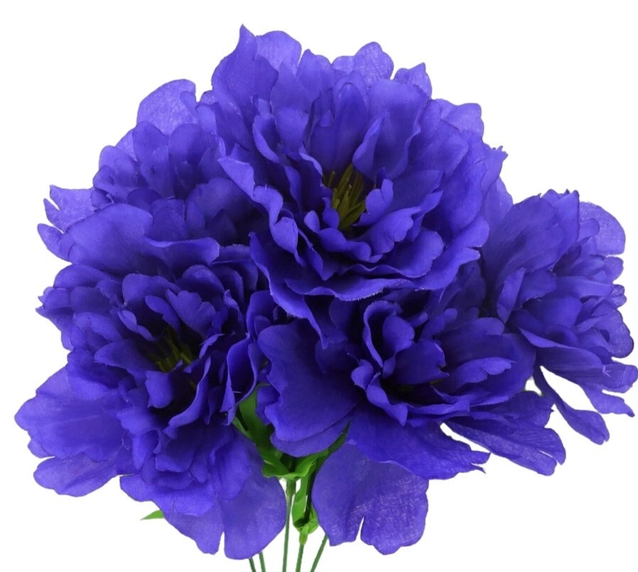 Peonies