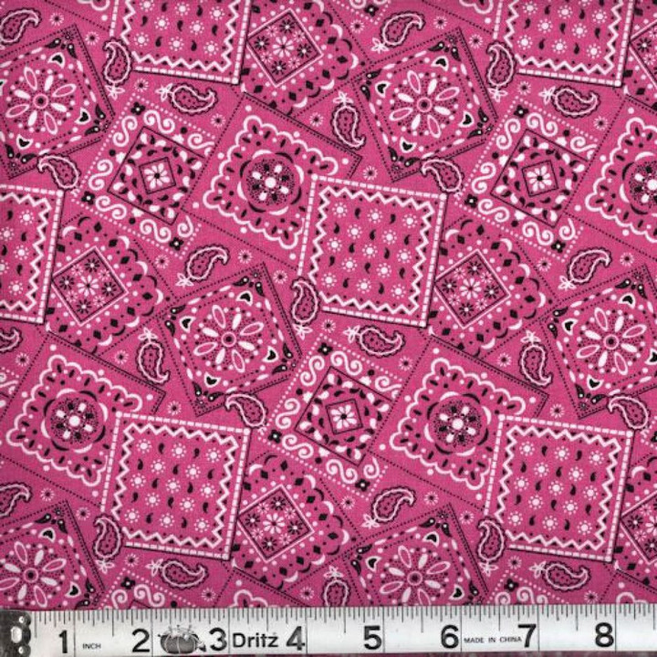 Paisley & Bandana Prints