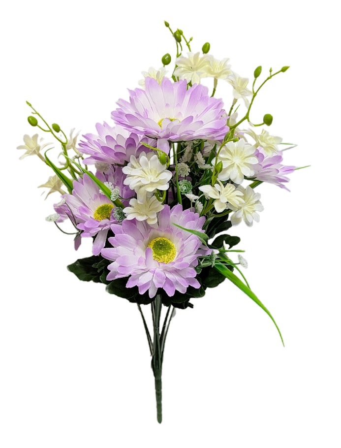 Daisies