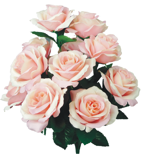 Colorfast Open Lillian Rose Bush - Beige Pink - Ben Franklin Online