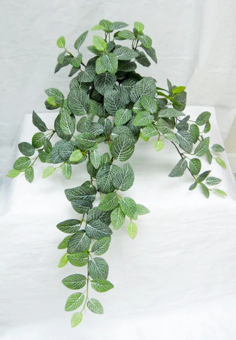 Fittonia Leaf Real Touch Hanging Bush 34" - Ben Franklin Online
