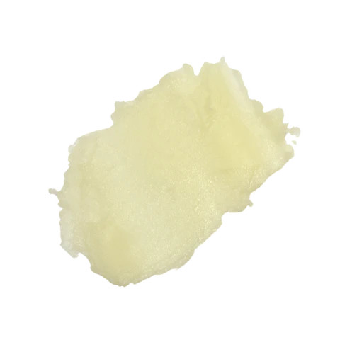 The Naked Bee® Citron & Honey USDA Organic Lip Balm - Ben Franklin Online