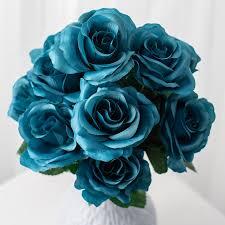 Open Rose Bushes