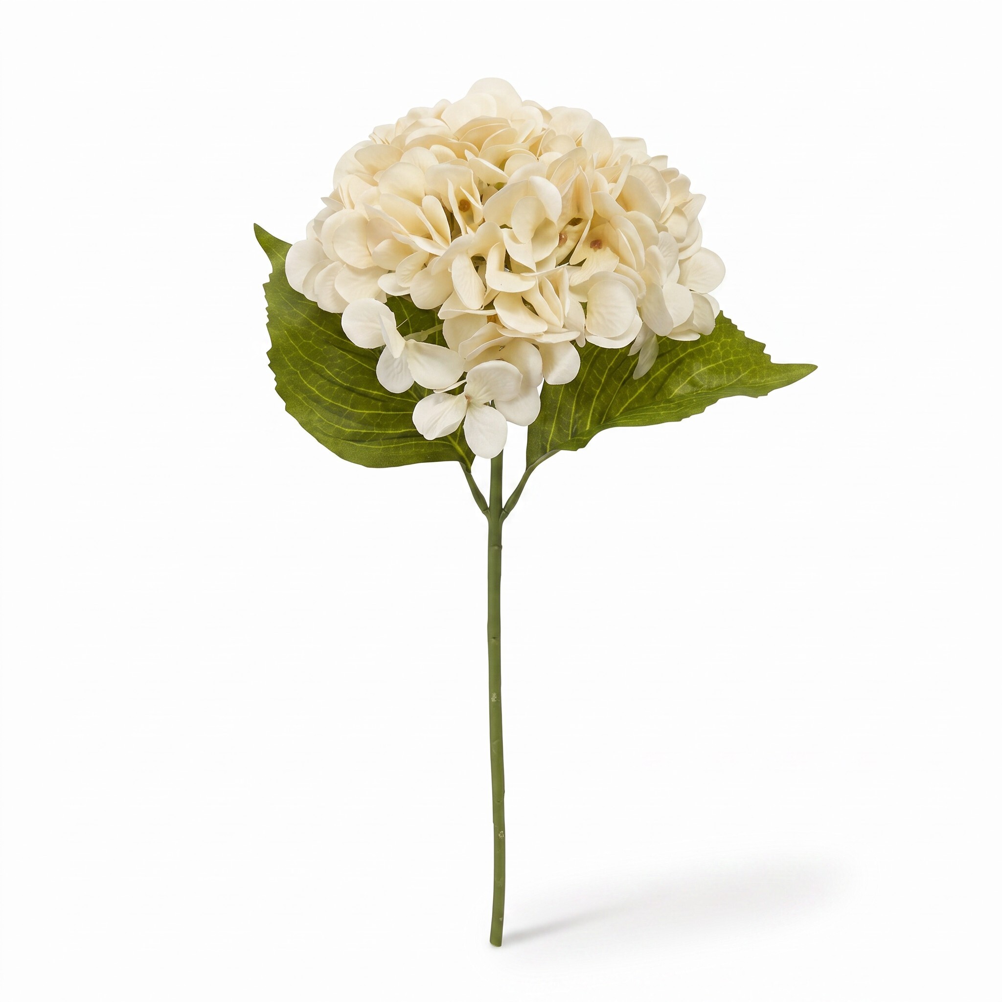 Single Silk Stems