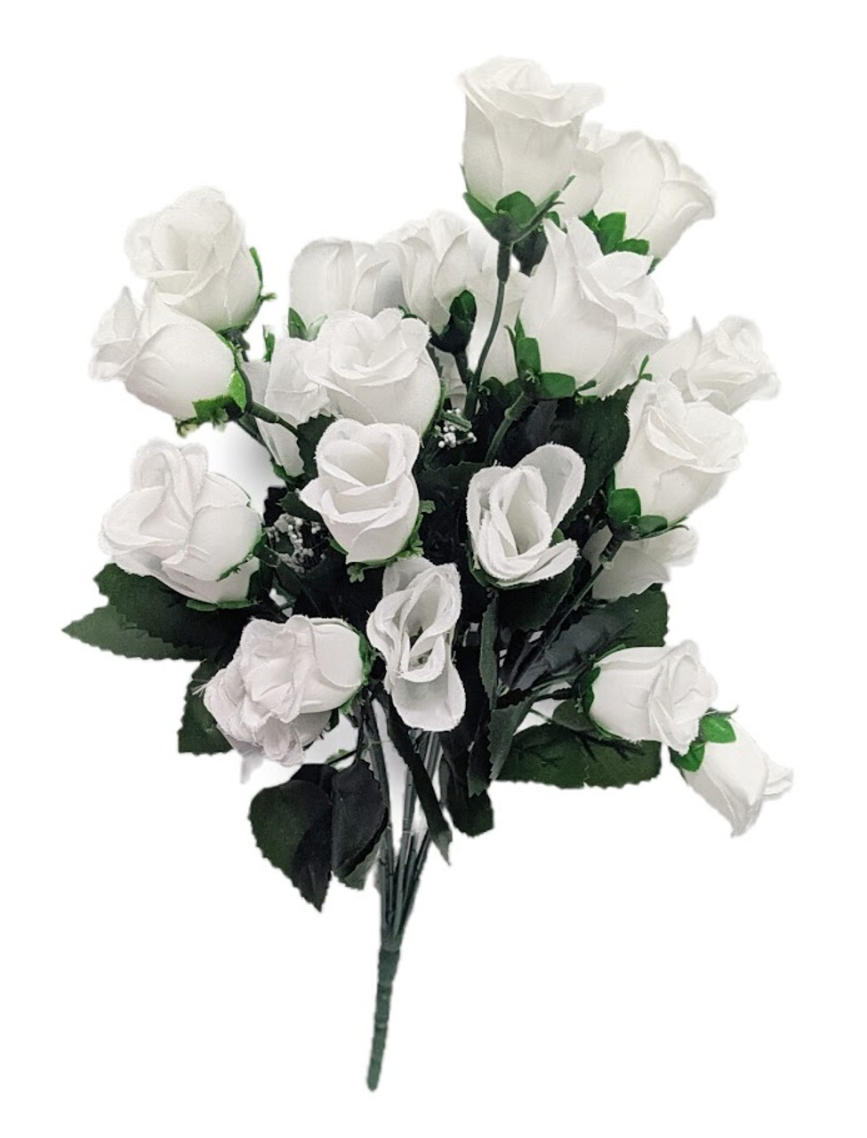 Cream, Ivory, White & Blush Varieties