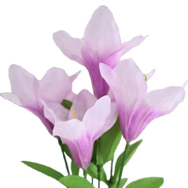 Lilies