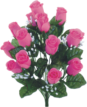 Closed Rose Bud Bushes